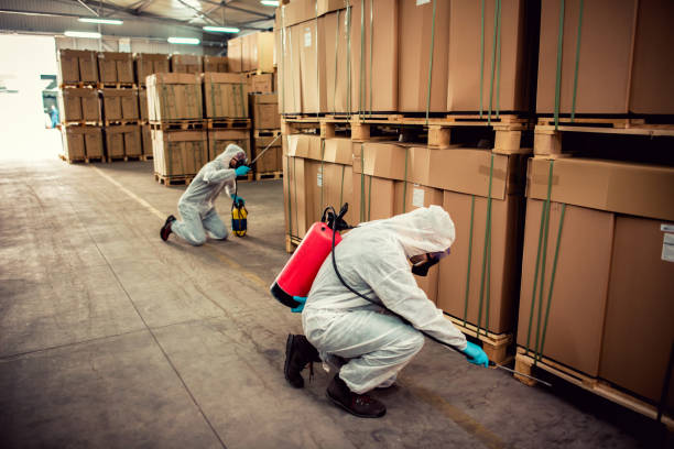 Best Pest Removal Services  in The Homesteads, TX