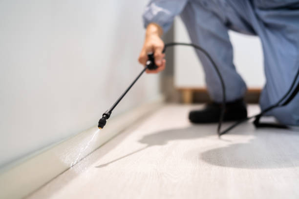 Best Termite Control Services  in The Homesteads, TX