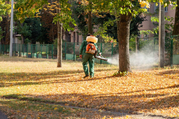 Best Affordable Pest Control Services  in The Homesteads, TX
