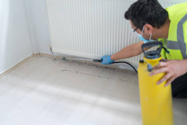 Best Pest Inspection Near Me  in The Homesteads, TX