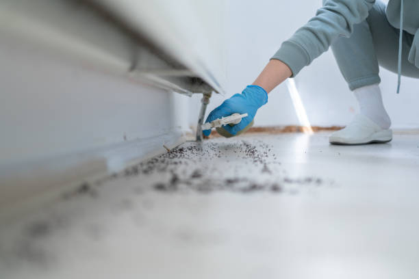Best Bed Bug Extermination  in The Homesteads, TX