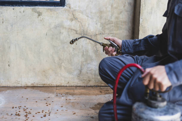 Best Pest Prevention Services  in The Homesteads, TX