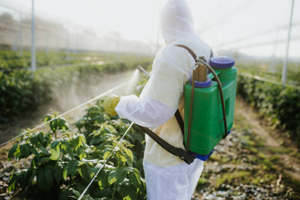 Best Pest Control for Restaurants  in The Homesteads, TX